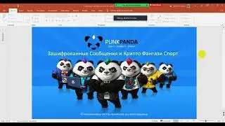 PunkPanda!   Презентация! Почему именно этот Проект!