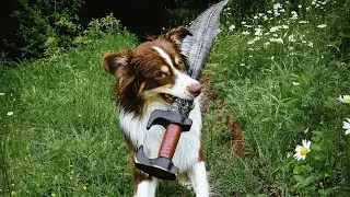 Dog Obsessed with Sword Fighting | The Bilbies