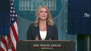 Elon Musk Is A Special Government Employee