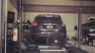 Focus RS &ldquo;Perps and Berbs&rdquo; Burble Crackle POP tune