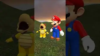 Baby Bowser Shut Up