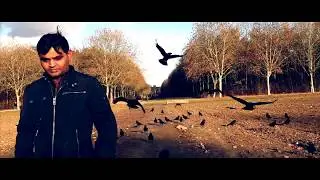 The crows in the park - Friends with crows - Raven