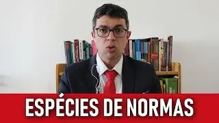 Norma Jur&iacute;dica [3] - Esp&eacute;cies de Normas | Aula 137