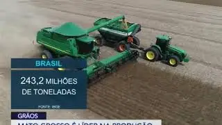 Mato Grosso &eacute; l&iacute;der na produ&ccedil;&atilde;o de gr&atilde;os
