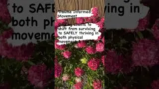 Trauma Informed Movement