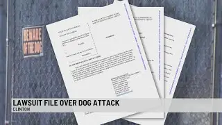 Mother Sues After Dog Attack on Child Sparks Outrage