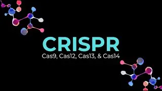 New frontiers in CRISPR: Addressing antimicrobial resistance with Cas9, Cas12, Cas13, and Cas14