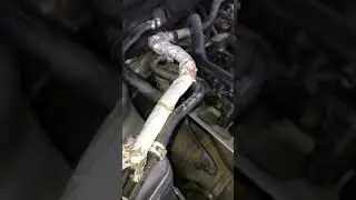 A4 2009 2.0T Quattro oil leak