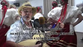 SZŐRÖS LÁBÚ KIS MACSKA