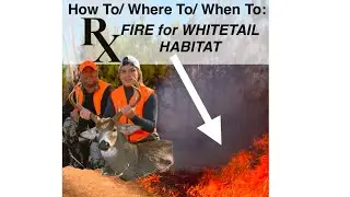 How and Where to use Prescribed Fire for Better Whitetail Habitat