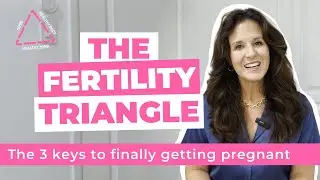 Holistic Fertility Framework | Unlock Hope, Balance & Emotional Wellness