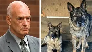 Family wants animal cruelty charges filed against man who killed their dogs