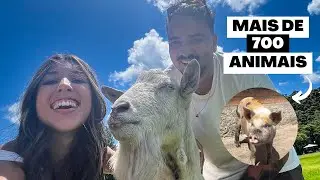 Conhecendo O Abrigo Da Pousada Röshler | 700 Razões Para Se Apaixonar ❤️‍🩹