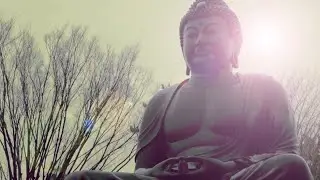 Peaceful Harmony | Original Music | Don Blackcat Syndicate