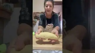 Chiacchiere di carnevale bollose