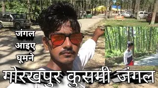 कुसमी जंगल गोरखपुर का पास है हाईवे वाला रोड पर kushmi Jungle Highway Kuala road ke pa Omkar Vlogs 07
