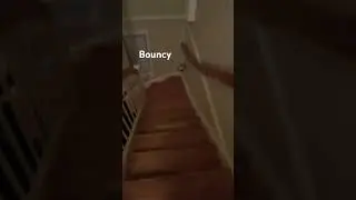Bouncy ball #football #ball #rolex #stairs