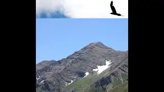 97 Sound Signal -- Above Alpine