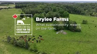 What sustainability means on the farm &ndash; Brylee Farms, QC (6-second)