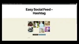 How to display Instagram Hashtag Feed on WordPress site