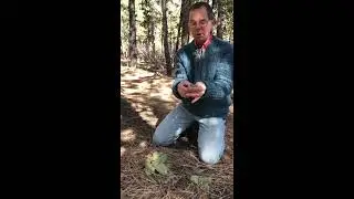 Nature's Toilet Paper with Ranger Dave Van Manen