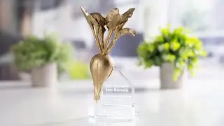 Zijderlaan BIETJE TROTS AWARD
