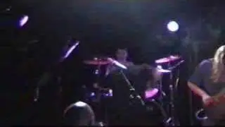 21twelve Swampcore