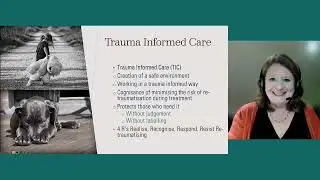 Maddie&rsquo;s Insights: Can Trauma Informed Care Support Behavior Modification Efforts for Dogs - webcast