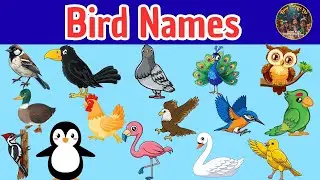 Названия птиц для детей | Cambridge Nursery Awareness | Узнайте о садовых и лесных птицах