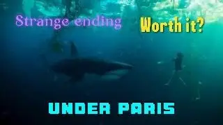 Under Paris review. What a strange ending. Bunch of questions. Netflix movie