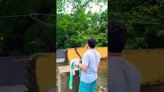Freedom Life... #instagram #viral #video #trending #youtube #youtubeshorts #bird #freedom