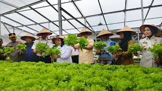 Panen Raya Serentak Serta Kontrol Kualitas Pelayanan Kesehatan Dilingkungan Kanwil DITJENPAS LAMPUNG