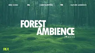 RLX -ForestAmbience | NatureSound | Suasana Hutan | RelaxingSound | DeepSleep | TidurNyenyak