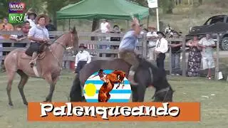 programa 20 de diciembre de 2025 listo