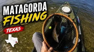 Three Mile after FISH KILL!