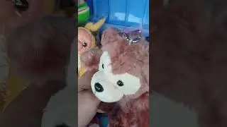 Bear stuff toy #shorts