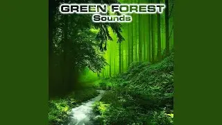 Forest Refreshing Wind (feat. Fresh Wind Atmosphere Sounds, Forest Breeze Sounds FX, Wind...
