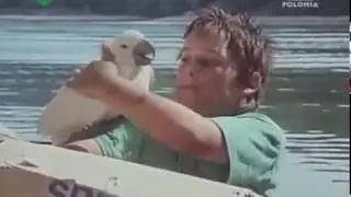 Niedzwiedzie nic nie wiedza 3 1993 Lektor PL