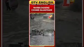 Dholpur, Rajasthan | Waterlogging In Several Parts Of The City Following Heavy Rainfall |  OTV