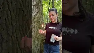 How to light soaked matches using wax 🔥🌧️ (bushcraft trick) #bushcraft #shorts