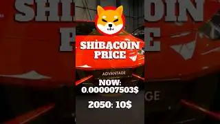 SHİBA İNU COİN 2050 PRİCE ?!