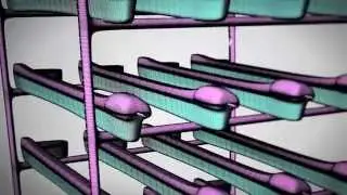 The Evolution of the Rational Man- Technology Through Iteration