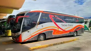 Buses del Ecuador con Estilo