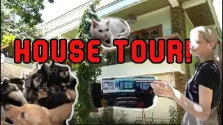 House Tour │Pet kingdom Tour Vlog