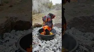 whole roasted chicken in nature