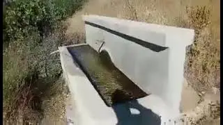 SÜLEYMAN ŞEVKİ MURAT YALÇINKAYA HAYRATI-2018