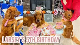 My Golden Retrievers 5th Birthday Shopping Spree | Larsey's 5th Birthday Special