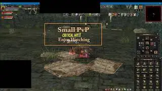 Shaiya EG CoG Small  PvP UoF Vs AoL