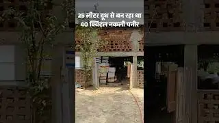 Gorakhpur Nakali paneer: पेंट-एसिड से बना रहे थे पनीर, 25 लीटर दूध से 40 क्विंटल तैयार करते