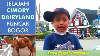 Liburan ke Cimory Dairyland Puncak Terbaru 2022